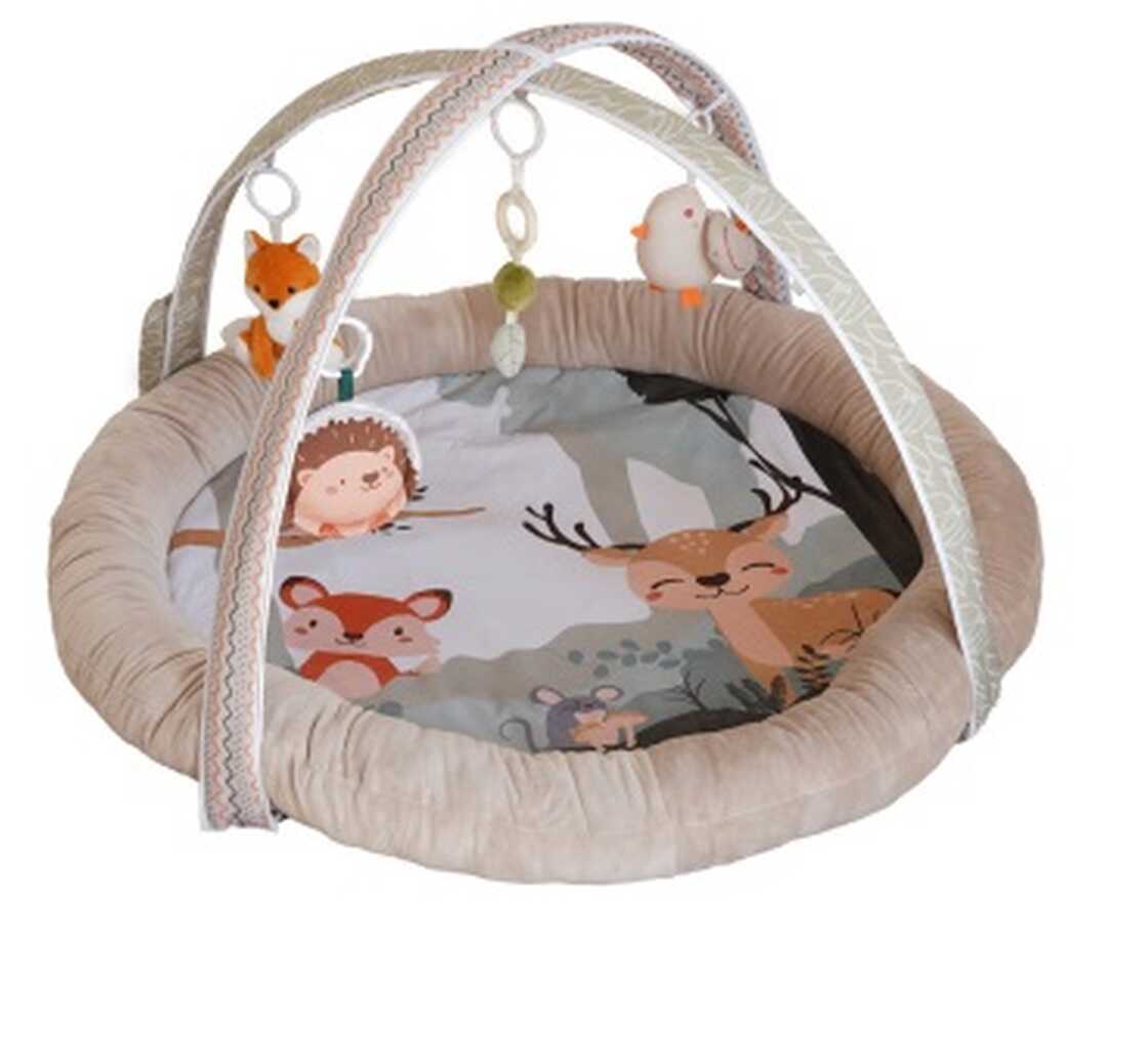 Borneo Musical & Light Play Gym 