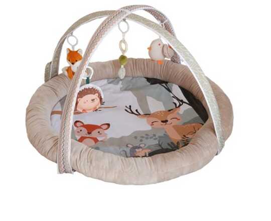 Borneo Musical & Light Play Gym 